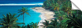 Palm_lagoon_62x201-1024x317_c