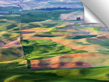 F01437DL2