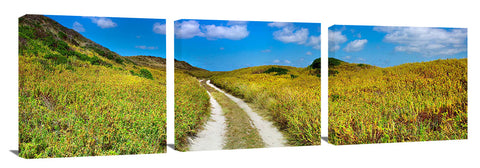 A country road on the west coast of King Island.