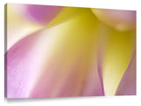 DSC0019