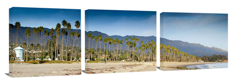 SantaBarbaraBeachPalms