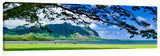 Kaava_101407_20x60_002_KaavaShade-1024x317_c