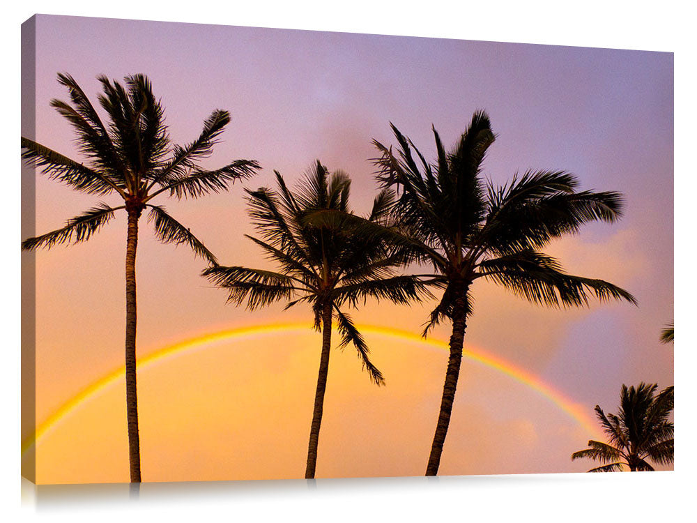 Beautiful apricot clouds and rainbow with palm trees at Turtle Bay.