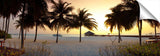 Zitahli_13_53GoldPalmDawn1-1024x318_c