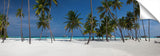 GiliLankan_13_63_TropicalOasis-1024x318_c