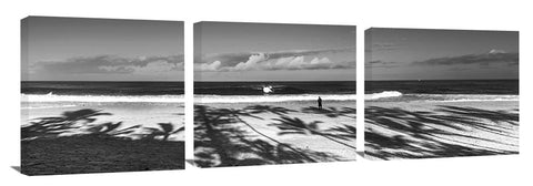 Palm_Surf_bw