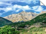 Looking-Out-the-Front-Door-Orem-UT_c