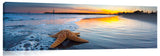 Walton_Beach_Starfish