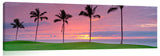 The 12th hole on the Kings golf course at Waikaloa, on the Big Island of Hawaii.