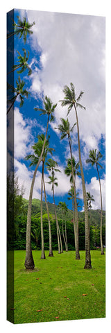 Kahana_Palms_