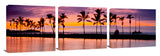 Palm tree sunset at Waikaloa on the big Island of Hawaii.