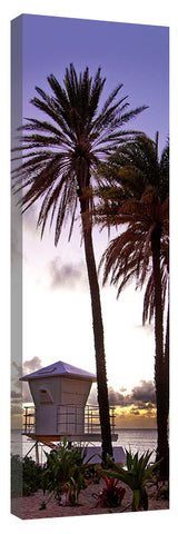 Sunset_Tower_Palms