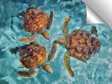 A00543D1