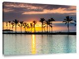 Palm tree sunset at Waikaloa on the big Island of Hawaii.