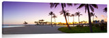 Beach_Palm_Pastels