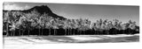 Diamond_Head_bw