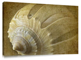 SS00013DL