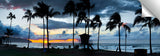 Haleiwa_Palm_Sunset