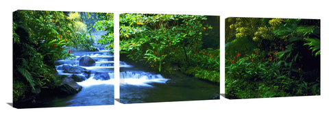 Tabacon-Hot-Springs-Costa-Rica-15x44_c