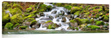 PA0235DL_c