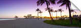 AlaMoana_080112_9_WaikikiSunsetPalms-1024x317_c