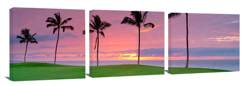 The 12th hole on the Kings golf course at Waikaloa, on the Big Island of Hawaii.