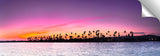 Mission_Bay_Pink