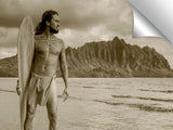 Hawaiian_Alaia_Sepia