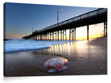 Balboa_Pier_Shell