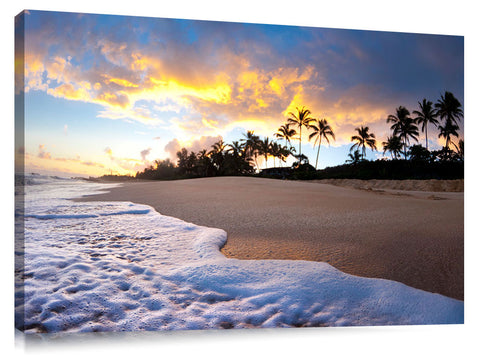 Sunrise_Palms_N_Foam