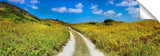 A country road on the west coast of King Island.