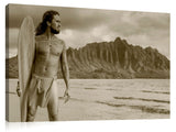 Hawaiian_Alaia_Sepia
