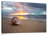 Shell_Sunrise_062116__001_39