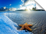 A starfish on the beach at sunrise.
