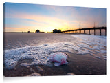 Huntington_Bch_Pier_Shell