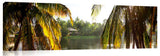 Palm_Frond_shack