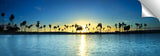 Mission_Bay_Blue-Palms