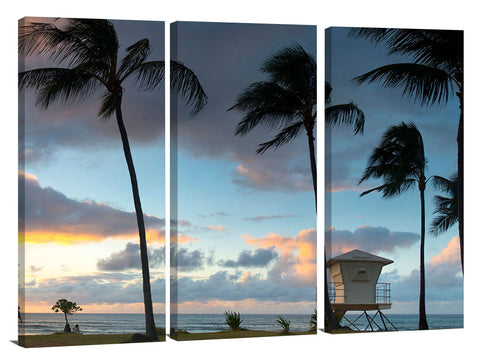 Windy_Palms