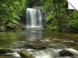 0115LookingGlassFalls_3d