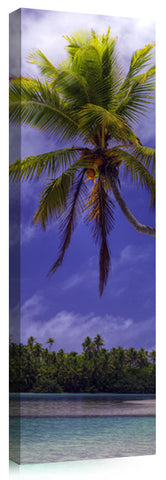 FLOATINGPALM_3d