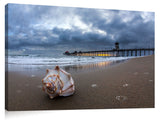 Huntington_Seashell