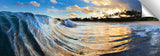 Coconut_Grove_18x58