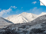 Looking-Out-the-Front-Door-Two-Orem-UT_c