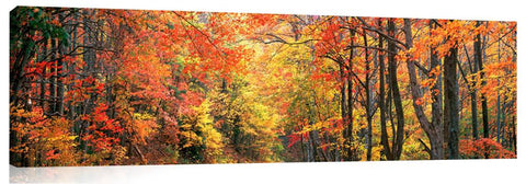 October-Road_3d
