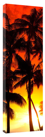 BabyBeach_sunsetpalms_3d