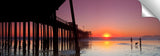 Pismo_Glow