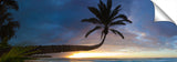 SunsetSunset_12_14_SunsetPalm-1024x317_c