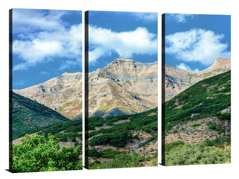 Looking-Out-the-Front-Door-Orem-UT_c