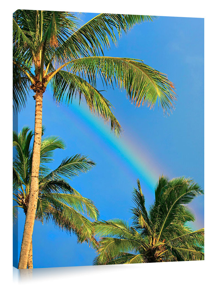 Tropical_Rainbow_3d