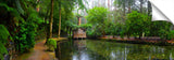 Dandenong_2012_4_c